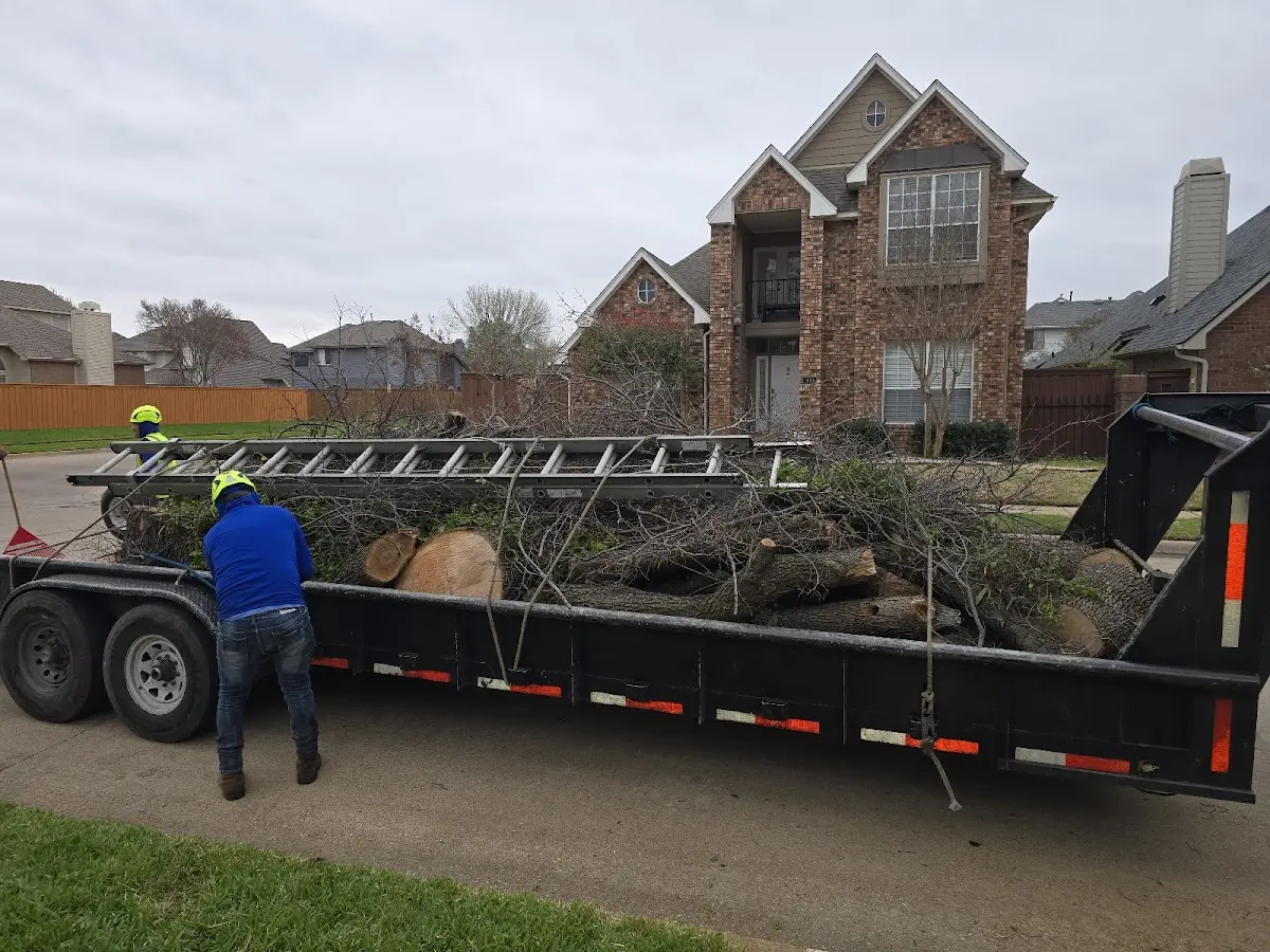 Expert Tree Fertilization with proper safety equipment in Offutt Afb